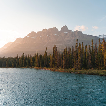 Mountains, Nature, Trees, Rocks, Lake, Spruce, Fir HD phone wallpaper