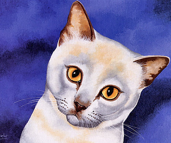 Brian Barfoot painting, kitten, painting, art, cat, brian barfoot, feline HD wallpaper