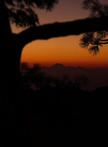 Sunset, Mountains, Dark, Silhouette, Branch HD phone wallpaper