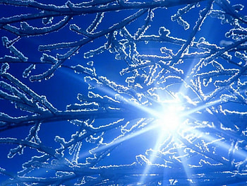 Window, blue, Winter, branches, sun HD wallpaper