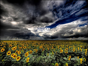 Open the Sky, sky, open HD wallpaper