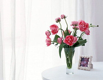pink bouqet, bouqet, pink, curtain, arrangement HD wallpaper