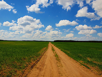 Road, droga, sky, pole, filds HD wallpaper