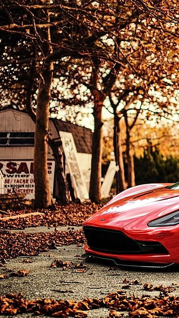 Red Ferrari, ferrari, car HD phone wallpaper
