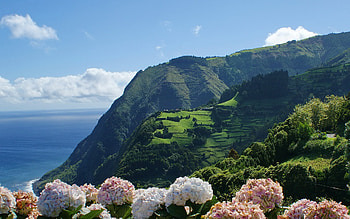 From the top, landscape, beautiful, clouds, nature, flowers, sky, amazing, mountains, ocean HD wallpaper