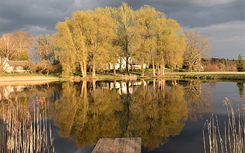 Spring Lake, trees, Latvia, reflection, lake, calm HD wallpaper