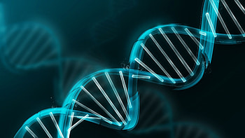 DNA, Biology HD wallpaper