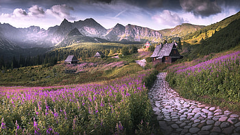 Village in Mountain, Field, nature, flowers, mountain, cabin HD wallpaper
