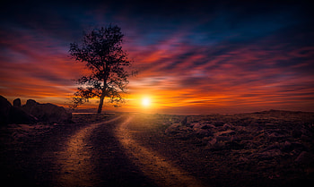 Beautiful Sunset On Dirt Road, sunset, nature, graphy, nature HD wallpaper