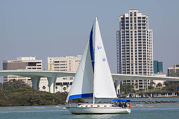 Sails In The City, sailboats, sails, city, ocean HD wallpaper