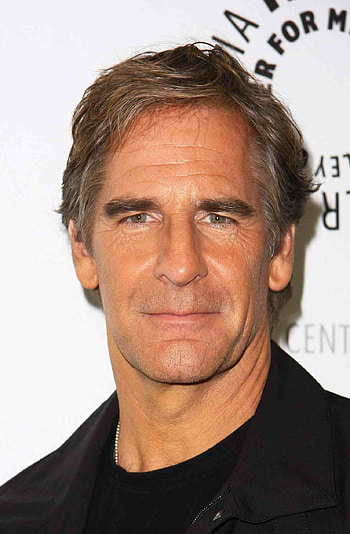 Scott Bakula, TV shows, Celebrities, Pin HD phone wallpaper