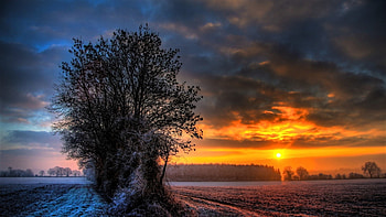 Sunset over Field of Winter Frost, Winter, Fields, Frost, Nature, Sunsets HD wallpaper