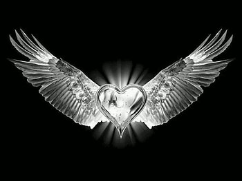 Fly away heart, wings, heart, black and white HD wallpaper