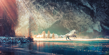 Horse Running Fantasy , horse, animals, artist, deviantart HD wallpaper