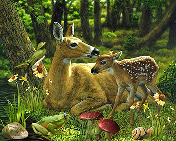 mother deer, puppie, natur, wood, deer HD wallpaper