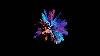 Color explosion, Bright and vivid, Artistic display, Abstract ry HD wallpaper