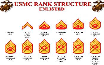 usmc enlisted ranks, marines, recon, usmc, marine corps HD wallpaper