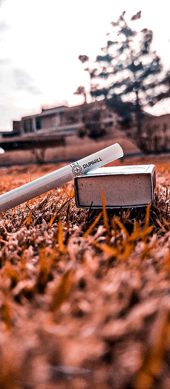 Dunhill cigrette, sky, city HD phone wallpaper