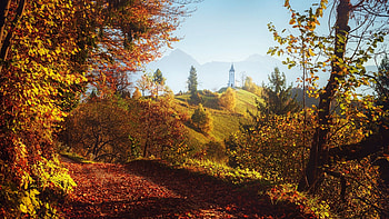 Julian Alps, Slovenia, autumn, trees, landscape, leaves, church HD wallpaper