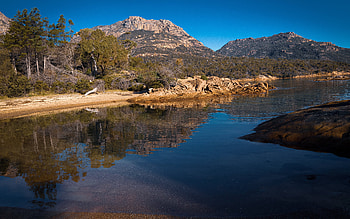 Lake Reflection, trees, nature, reflection, lake HD wallpaper