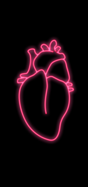 Neon Heart, red, neon_sign, realistic_heart HD phone wallpaper