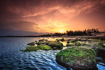 Tranquil sunset over moss-covered rocky shore, perfect for nature and seascape enthusiasts. HD wallpaper