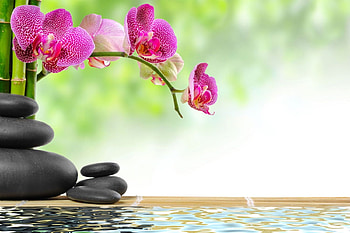 Stones and bamboo, Dew, Spa, Zen, Water, Flowers, Orchids HD wallpaper