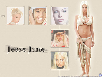 Cindy Taylor - aka Jesse Jane, sexy, model, sexy face, blonde, hot, women, jesse jane HD wallpaper