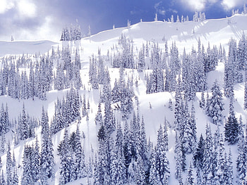 Nature, Trees, Mountains, Ate, Slopes HD wallpaper