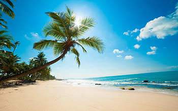 Caribbean , Top HD wallpaper