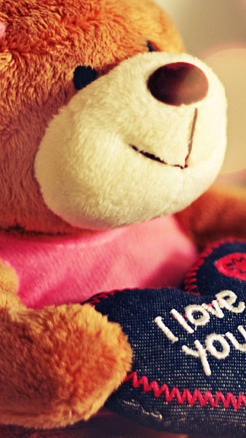 Teddy Bear, valentine HD phone wallpaper
