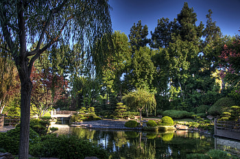 Nature, Trees, Sky, Bridge, Garden, Pond HD wallpaper