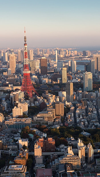 Japan, man made, Tokyo HD phone wallpaper