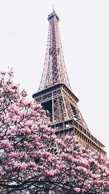 Salvabrani Paris , Paris background, City , Elegant designs HD phone wallpaper