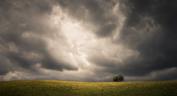 Storm clouds over the spring field, scene, field, , clouds, landscape, nature, spring, storm HD wallpaper