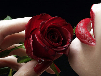 Flower, Macro, Girl, Lips HD wallpaper