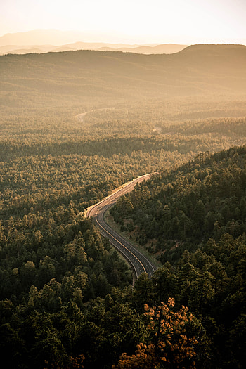 Nature, View From Above, Road, Markup, Forest HD phone wallpaper