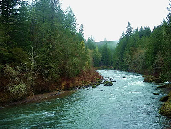A River Runs Through It, trees, river, sky, rock HD wallpaper