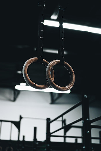 Sports, Rings, Gym, Sports Hall, Gymnastic Rings HD phone wallpaper