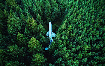 aerial view, , plane in forest, summer, beautiful nature, plane, R, forest HD wallpaper