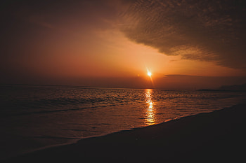 Beach Shore During Sunset, beach, sunset, shore, dawn HD wallpaper