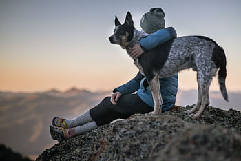 A person wearing a beanie and winter jacket sits on a rocky mountain with a dog, overlooking sunset views. HD wallpaper