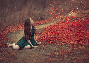 * Autumn memories *, leaves, alone, autumn, road, nature, girl, tree, memories HD wallpaper