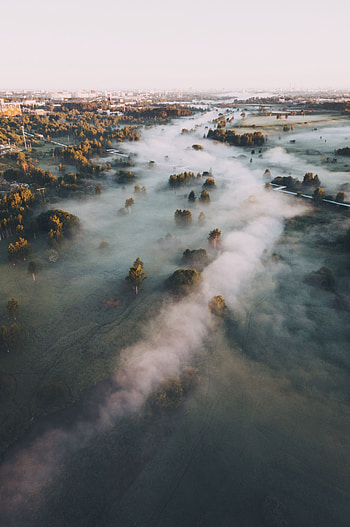 Cities, Trees, City, View From Above, Fog, Hills HD phone wallpaper