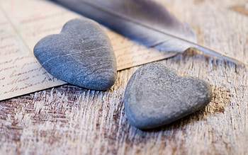 Feather, Rock, Macro, Grey, Stone, Heart, Pen, Beige HD wallpaper