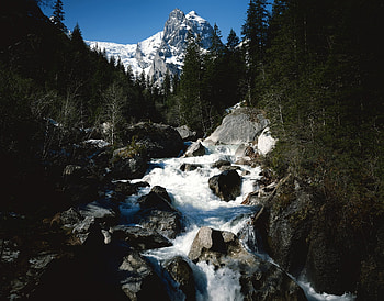Nature, Trees, Stones, Mountains, Rocks, Flow, Speed, Ate, Mountain River HD wallpaper