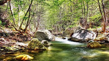 Nature, Rivers, Stones, Forest, Flow HD wallpaper
