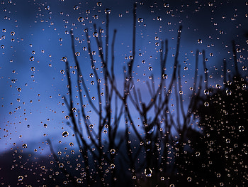 Macro Water Dew , drops, macro, water, graphy HD wallpaper