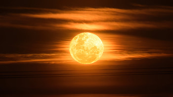 Super Moon , moon, nature HD wallpaper
