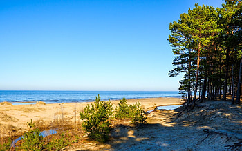 Beach in Latvia, trees, Latvia, sea, beach HD wallpaper